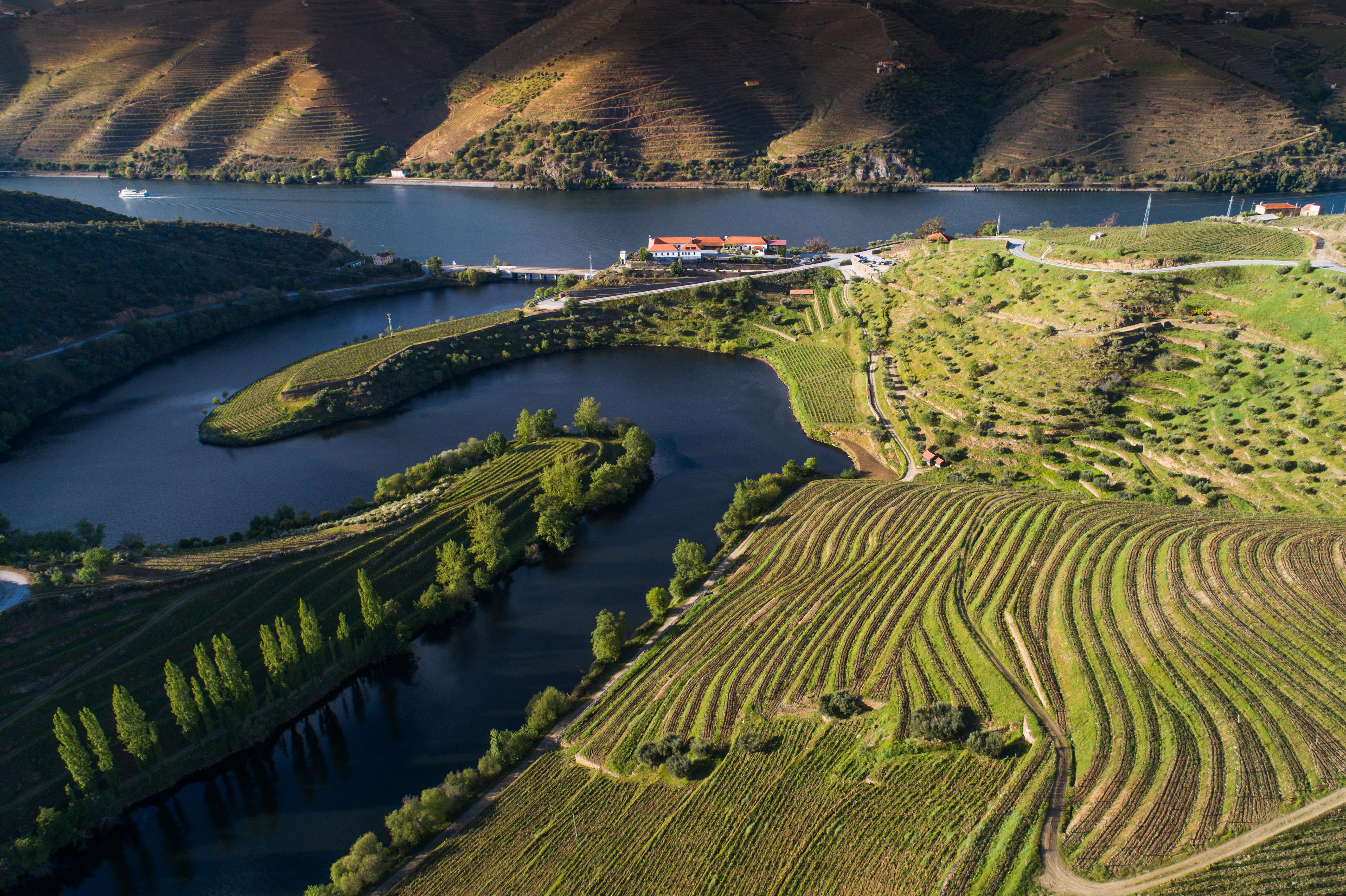 Vila Gale Douro Vineyards Армамар Экстерьер фото