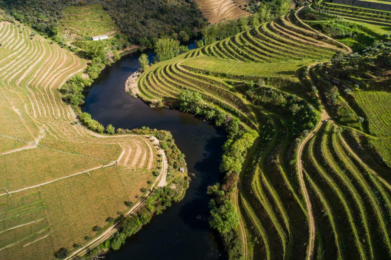 Vila Gale Douro Vineyards Армамар Экстерьер фото